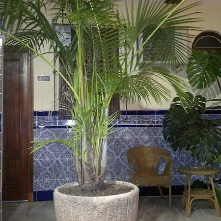 Nova Centro