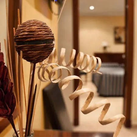 新中心酒店 酒店 赫雷斯