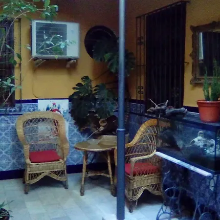 Nova Centro 2*